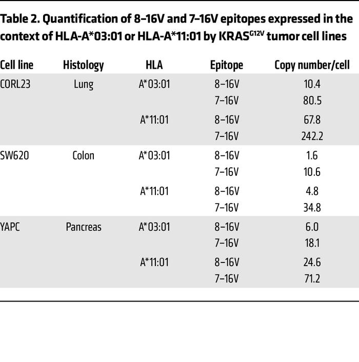 Quantification of 8–16V and 7–16V epitopes expressed in the context of H...