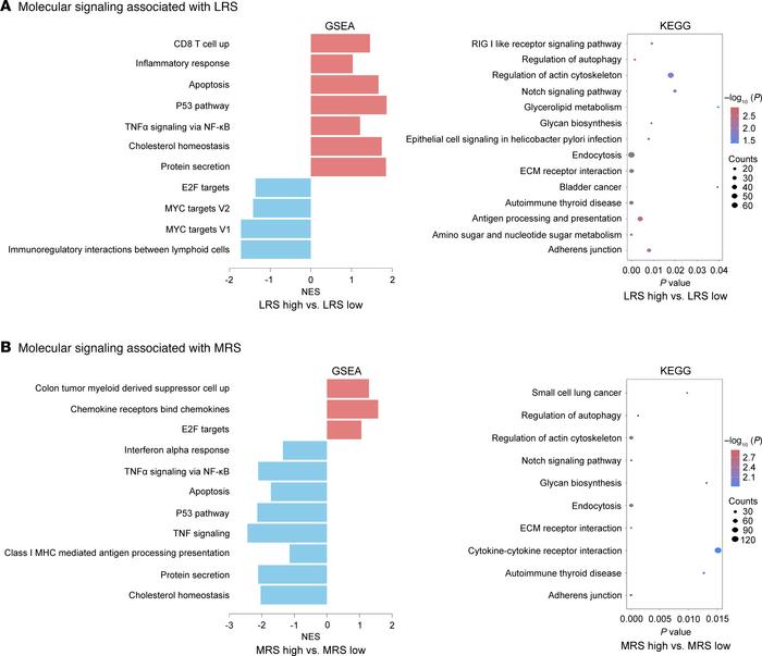 Radiogenomics interpretations on the relationship between genomics chara...