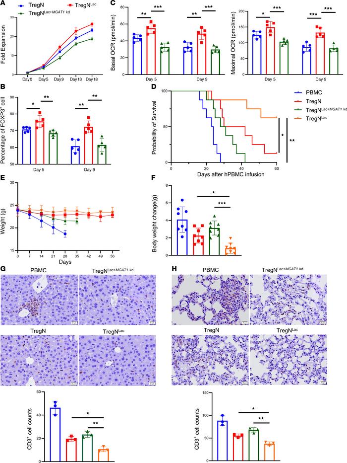 
MGAT1 knockdown attenuates the therapeutic effect of lactate-treated Tr...
