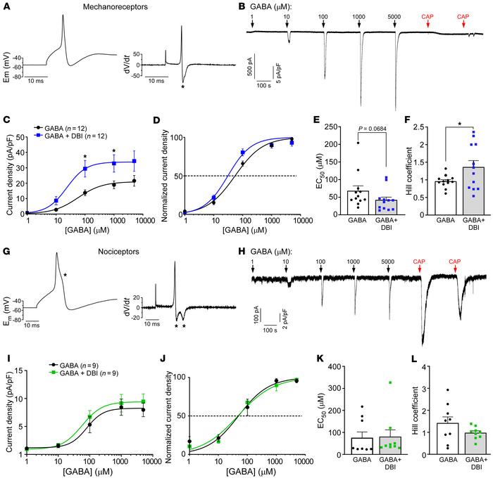 DBI is a positive allosteric modulator at GABAA receptors in presumed me...