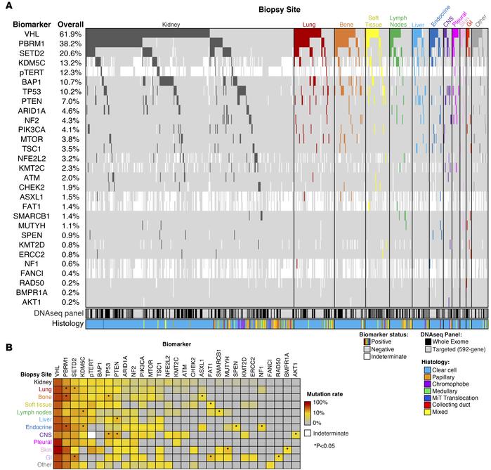 JCI - Molecular analysis of primary and metastatic sites in patients ...