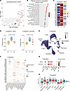Blood-based R signature in anti–mouse CD3 R mice and its cellular origin.