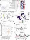 Blood-based NR signature in anti–mouse CD3 R mice and its cellular origin.