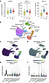 R signature and NR signature 6 months after teplizumab therapy in stage 3 T