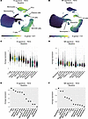 R signature and NR signature prior to teplizumab therapy in stage 2 T1D and