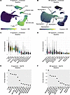 Combined R and NR signatures prior to teplizumab therapy in stage 2 and 3 T