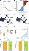 Baseline predictive response score associated with a clinical response to t