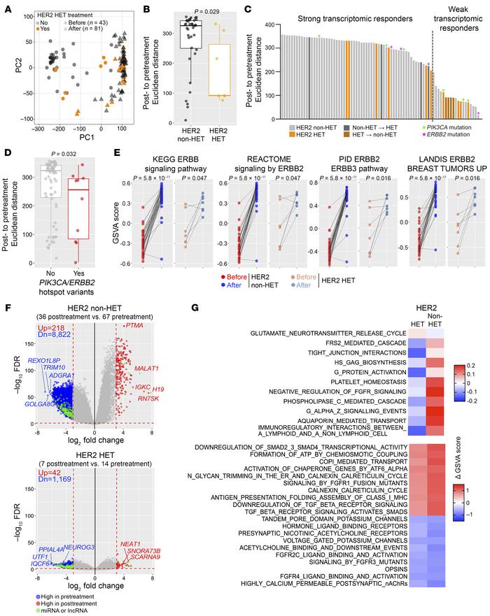Treatment-induced changes in transcriptomic profiles.
(A) PCA plot depic...