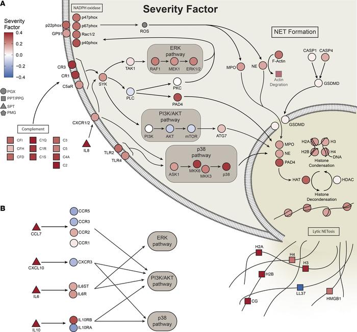 Integrative multiomics network identifies upstream regulators and mediat...