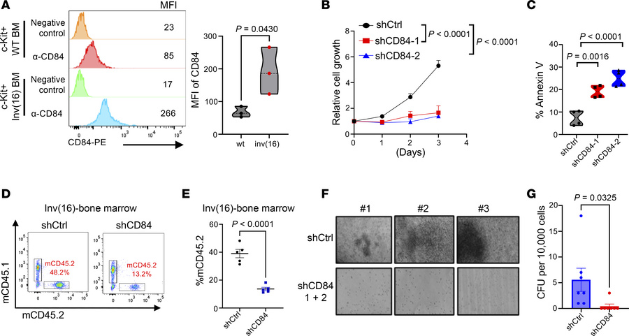 CD84 is essential for AML maintenance in inv(16) mouse model.
(A) Histog...