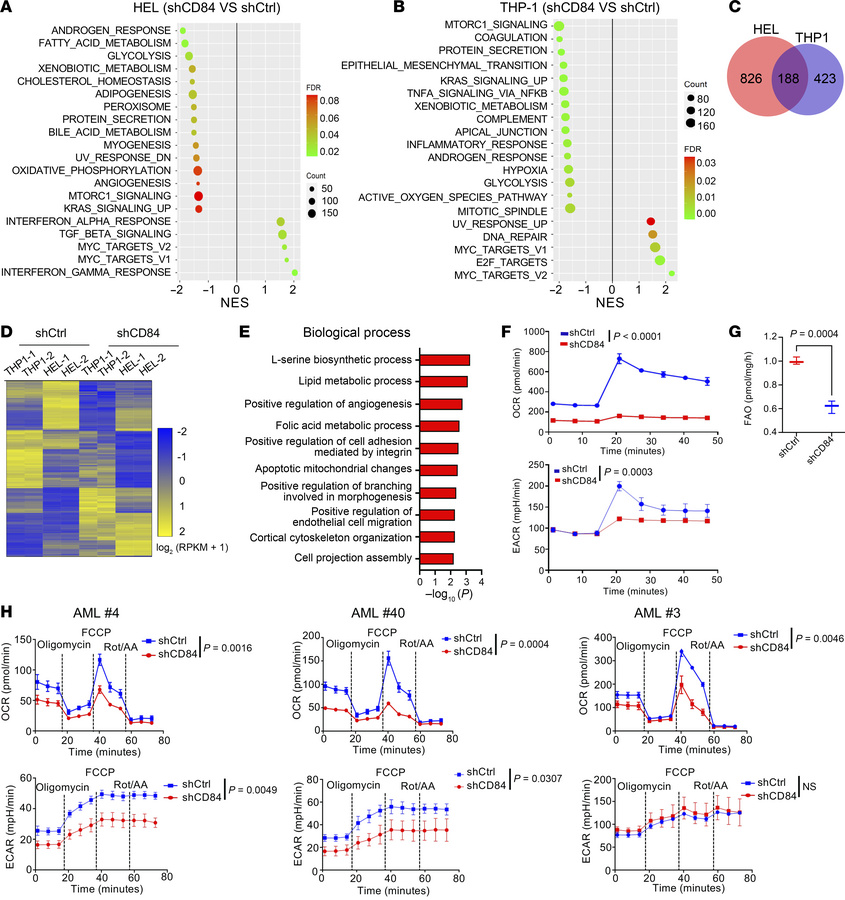 CD84 knockdown deactivated energy metabolism and induced mitochondrial s...