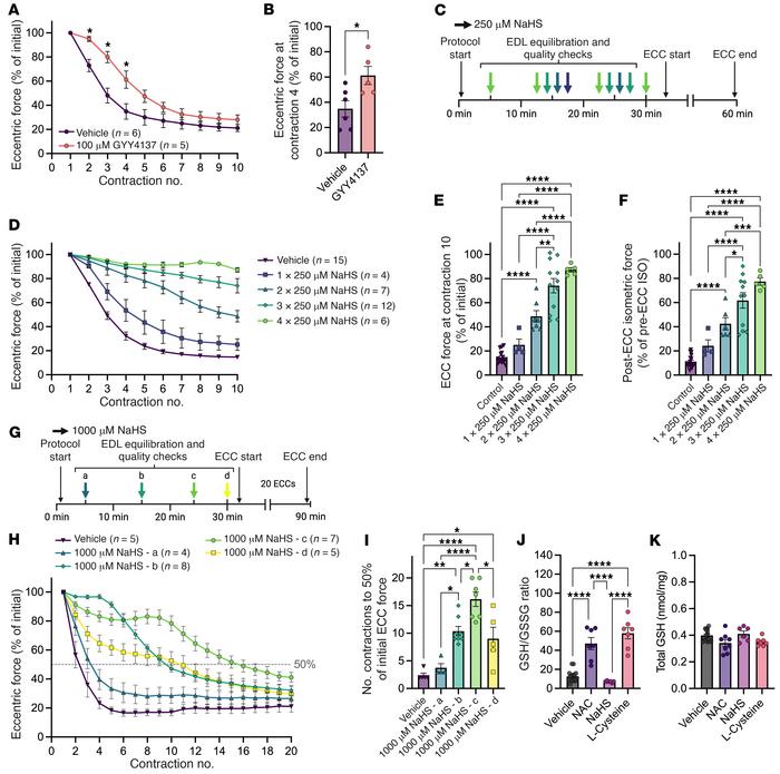 NaHS supplementation prevents ECC force loss in mdx EDLs.
(A) Change in ...
