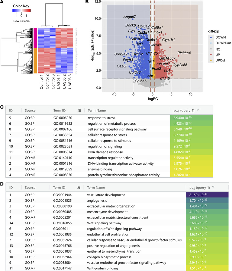 RNA-Seq analysis of UAS03-treated endothelial cells.
SVEC4-10 cells were...