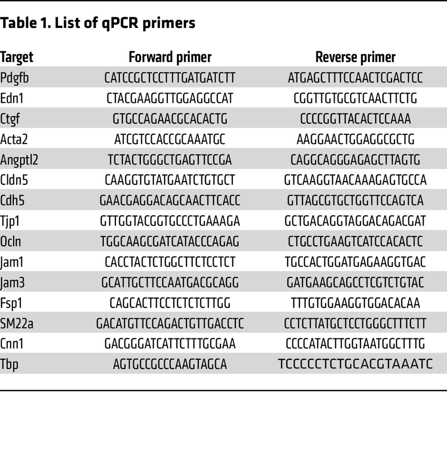 List of qPCR primers