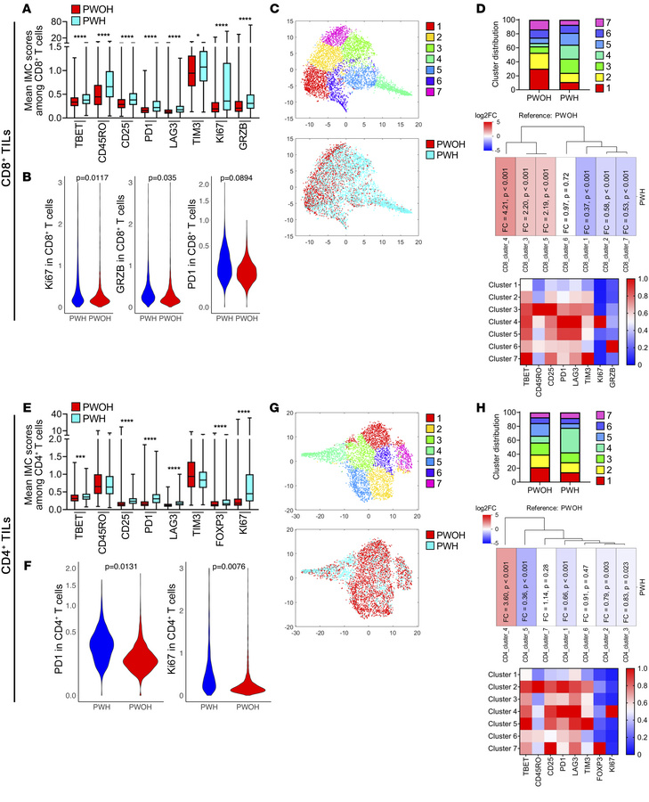 T cell phenotype in the TME of NSCLC in PWH and PWOH.
(A and E) Mean exp...