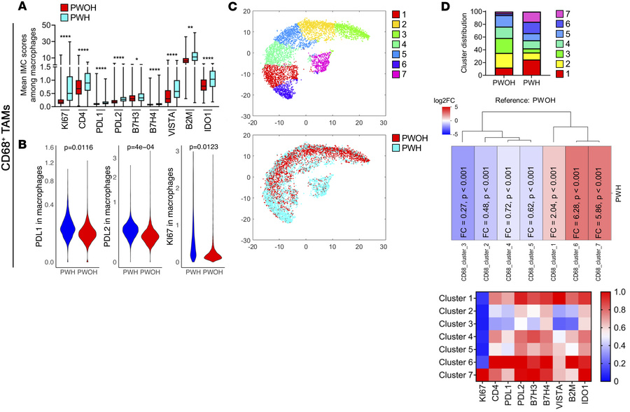 TAMs in NSCLC in PWH and PWOH.
(A) Mean expression value of single marke...