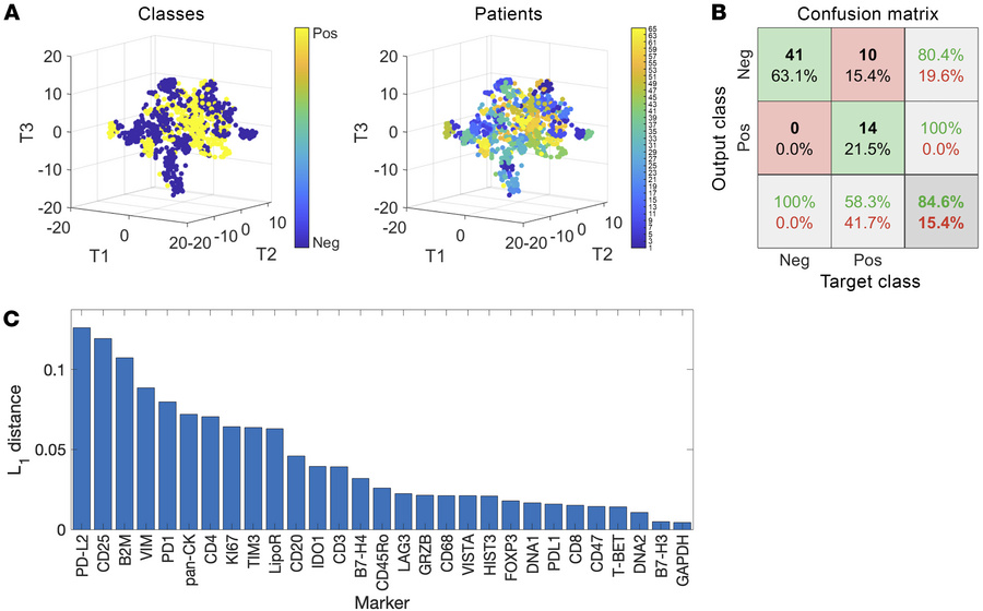 Spectral graph theory to distinguish HIV from non-HIV NSCLC TME.
(A) Vis...
