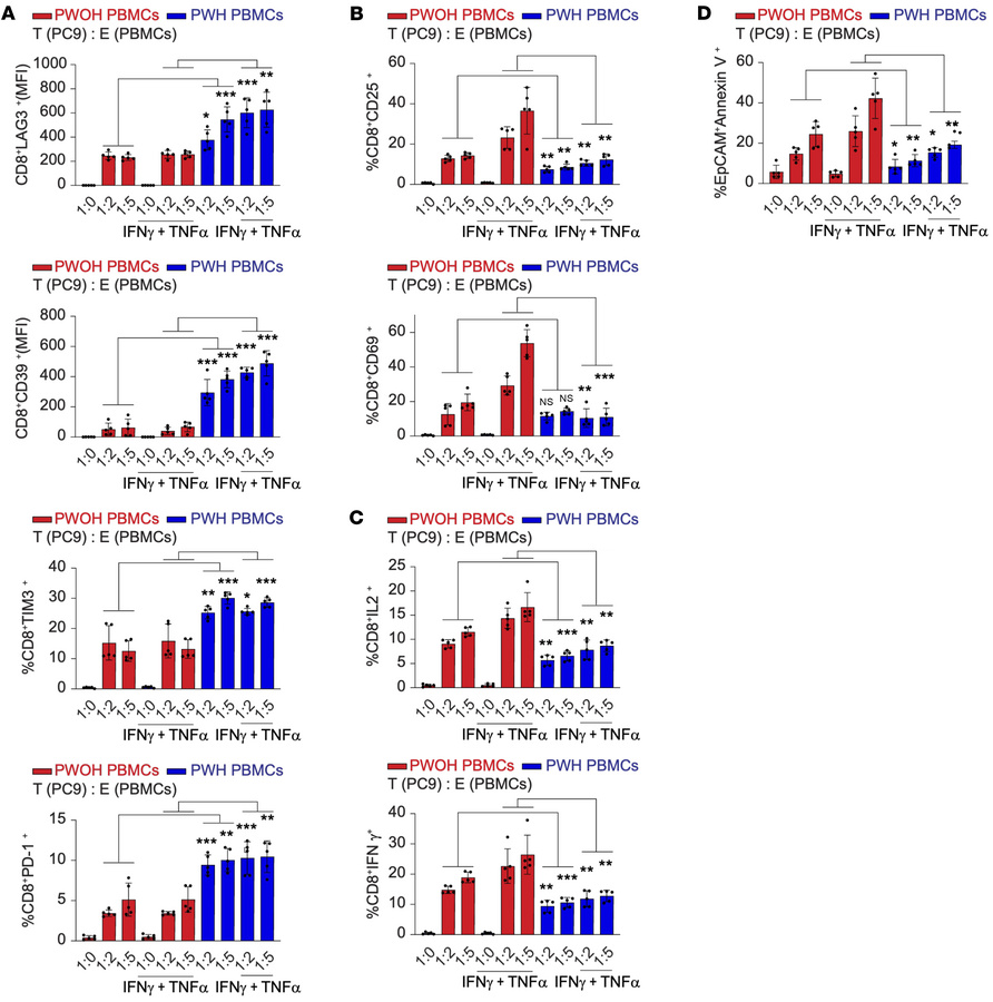 Tumor-killing assay with circulating cells from PWH and PWOH.
PBMCs from...