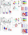 T cell phenotype in the TME of NSCLC in PWH and PWOH.