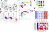 TAMs in NSCLC in PWH and PWOH.