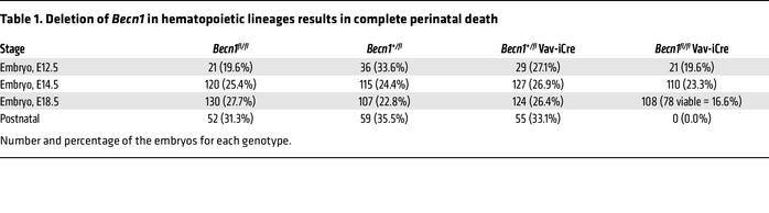 Deletion of Becn1 in hematopoietic lineages results in complete perinata...
