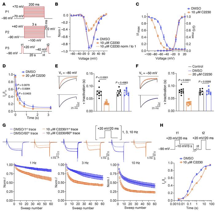 Use- and state-dependent inhibition of CaV2.2 by C2230.
(A) Voltage prot...
