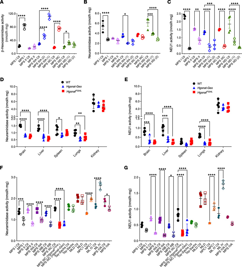NEU1 activity is reduced in brain samples of patients with neurological ...