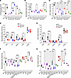 NEU1 activity is reduced in brain samples of patients with neurological MPS