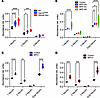 MALDI-TOF MS analysis shows increased sialylation of brain proteins in MPS