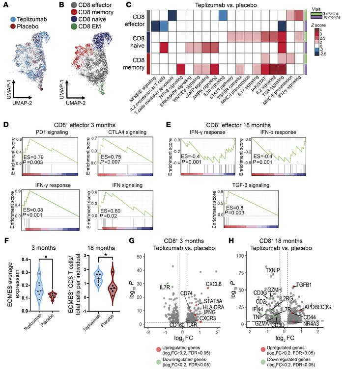 Changes across time in CD8+ T cells after teplizumab treatment.
(A and B...
