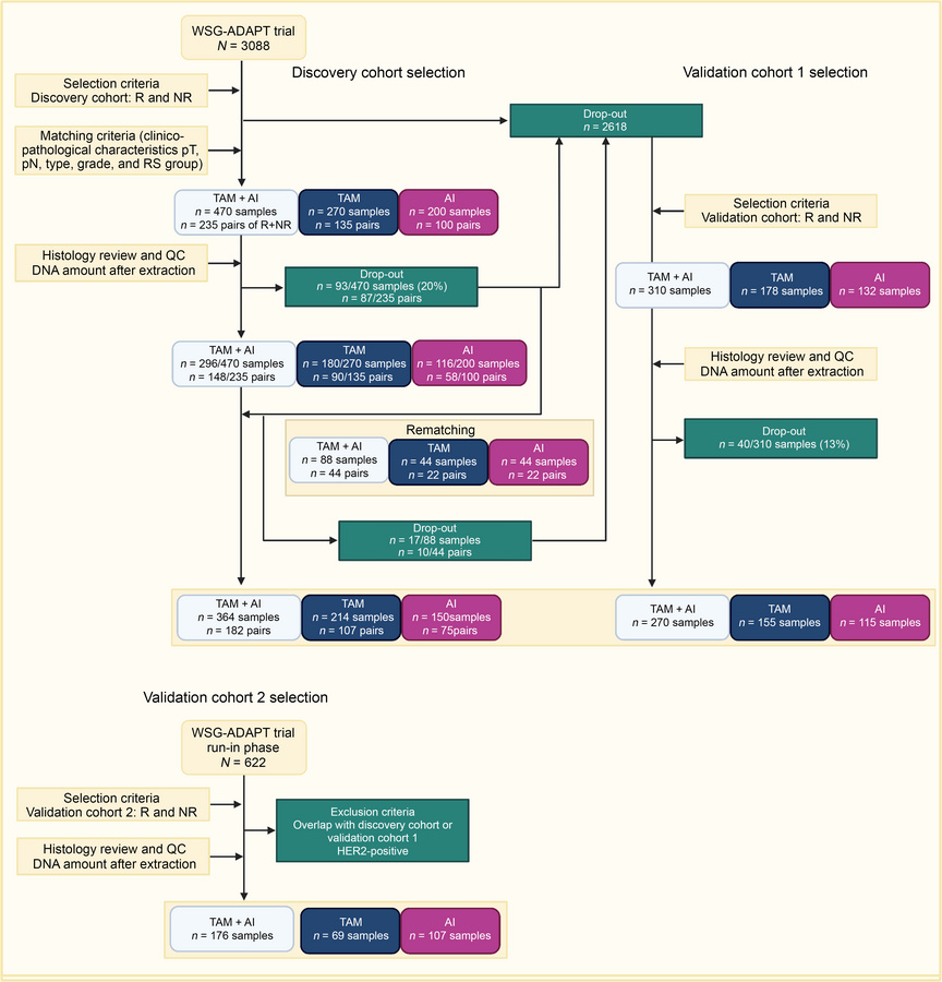 Flowchart of the sample selection.
Samples were selected from the WGS-AD...