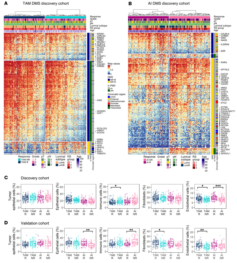 pET-specific alterations in the methylome and tumor microenvironment.
(A...