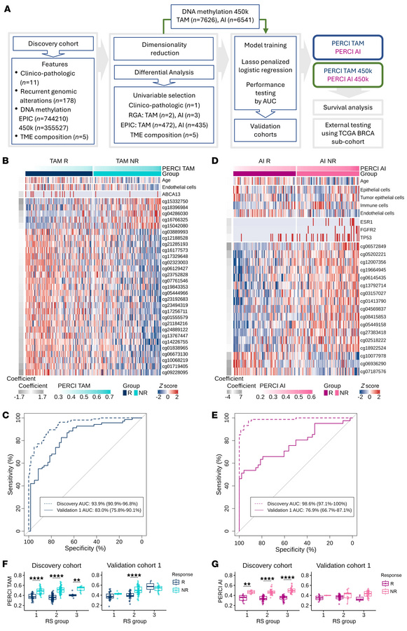 Developing the ‘Predictive Endocrine ResistanCe Index’ PERCI.
(A) Workfl...