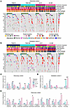 Recurrent genomic alterations.