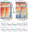 pET-specific alterations in the methylome and tumor microenvironment.
