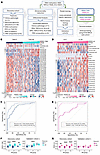 Developing the ‘Predictive Endocrine ResistanCe Index’ PERCI.