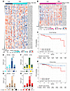PERCI 450k predicts progression-free survival (PFS) in the TCGA BRCA subcoh