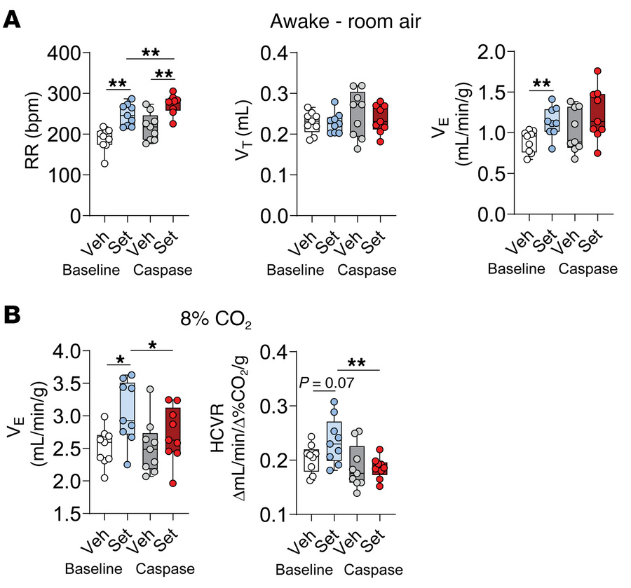 
Cre-dependent caspase (AAV5-flex-taCasp3-TEVp) (Casp) administered to t...