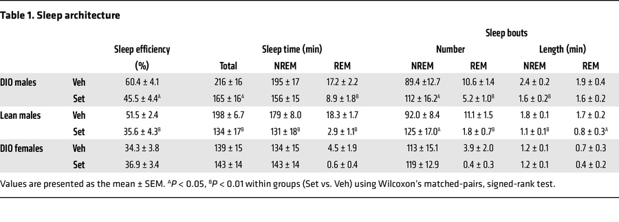 Sleep architecture