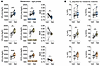 A single dose of Set increases total oxygen consumption (VO2) and carbon di