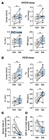 Set increases ventilation during sleep.