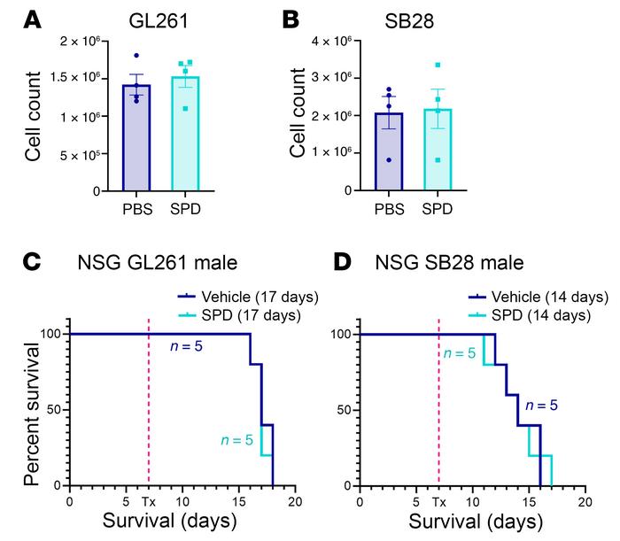 SPD interacts with the immune system to drive GBM progression.
(A and B)...