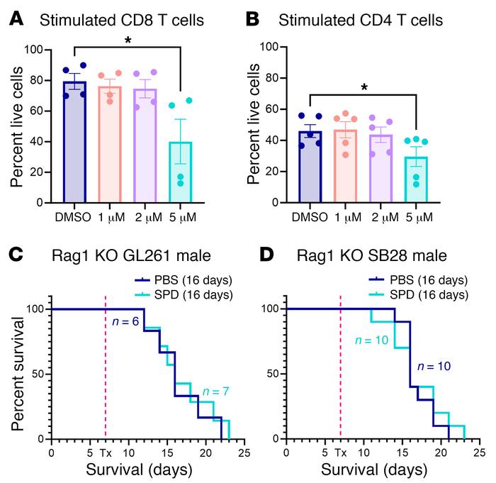 Lymphocyte subsets are affected by SPD.
(A and B) Splenocyte-derived lym...