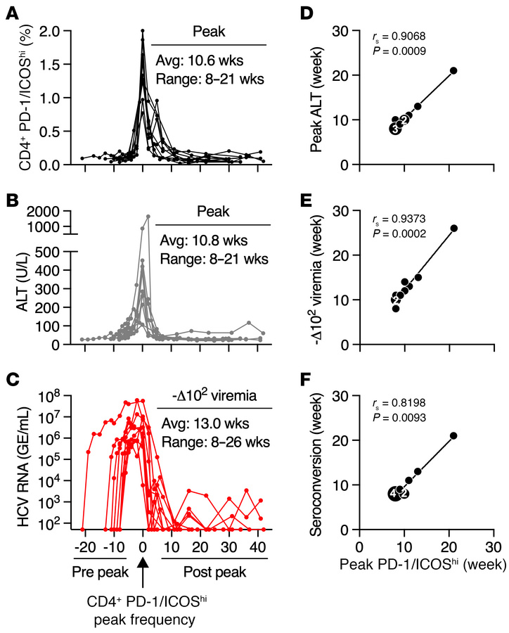 Acute HCV infection profile.
Temporal alignment of circulating (A) CD4P/...