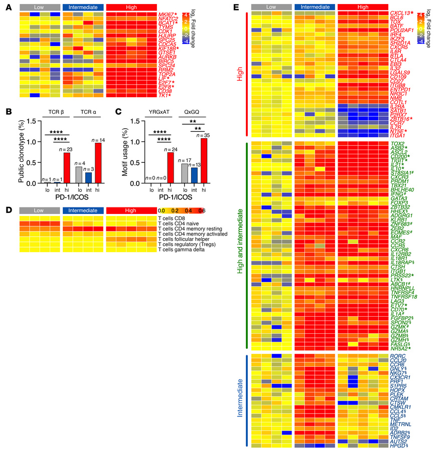 CD4+ T cell transcriptional signatures.
(A) DEGs associated with T cell ...