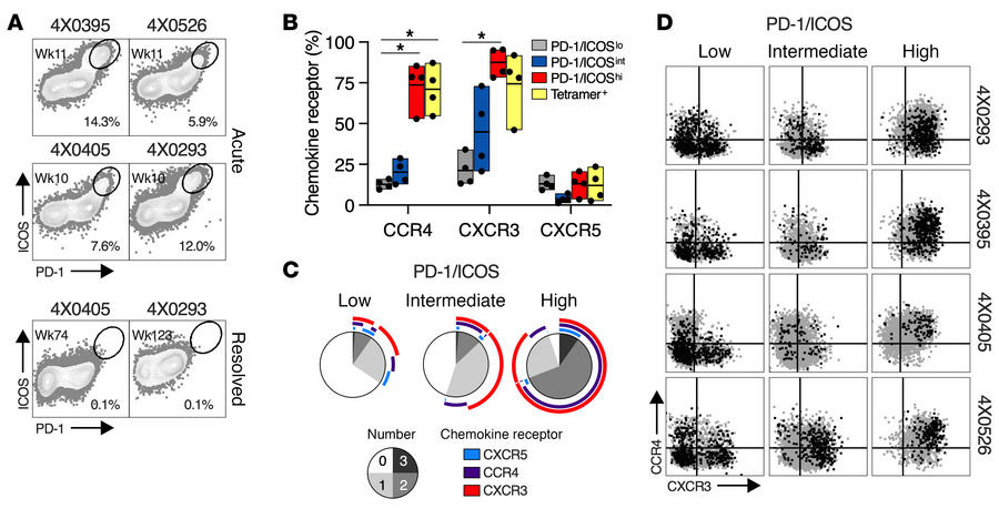 Chemokine receptor expression by liver-infiltrating CD4P/I(hi) T cells.
...