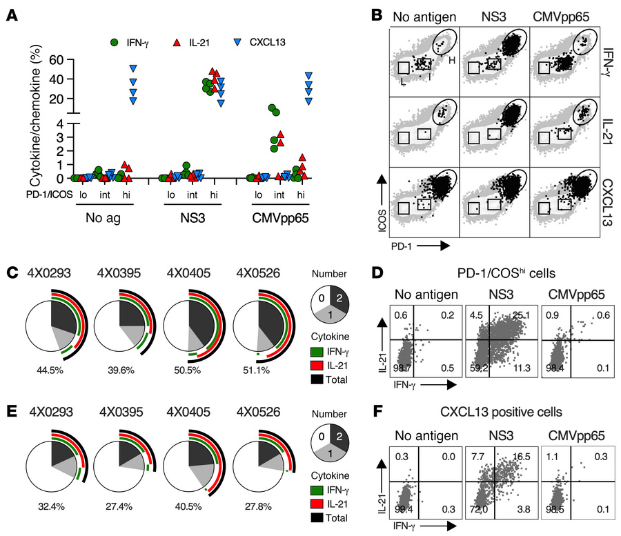 Function of intrahepatic HCV-specific CD4+ T cells.
(A) Percentage of li...