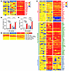 CD4+ T cell transcriptional signatures.