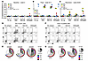 Function and HCV specificity of circulating CD4+ T cells.