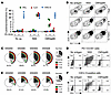 Function of intrahepatic HCV-specific CD4+ T cells.
